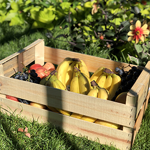 Panier de fruits bio et local - 8/11kg